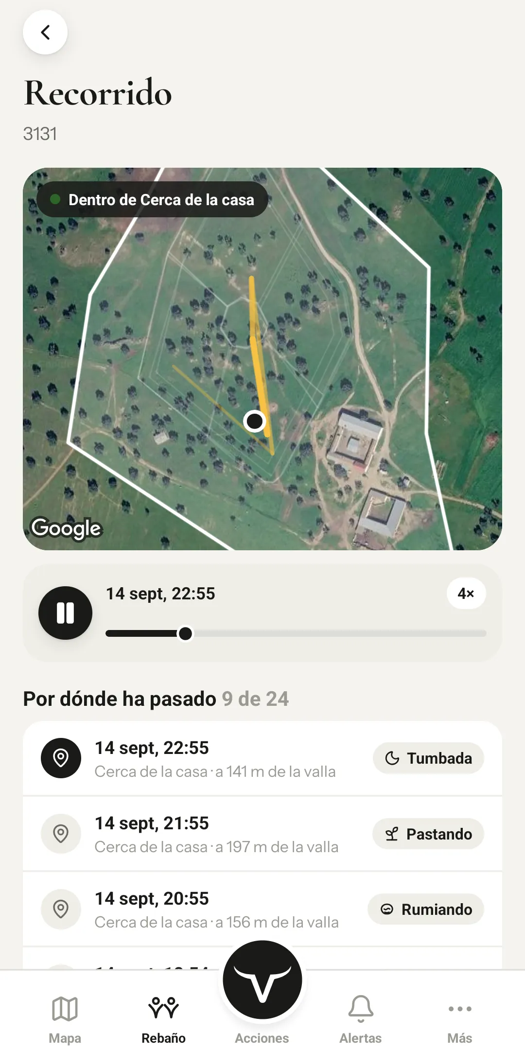 Recorrido de un animal dentro de una cerca, con la lista de posiciones por hora y su comportamiento en cada una.
